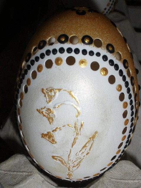 Husacia kraslica č.2.